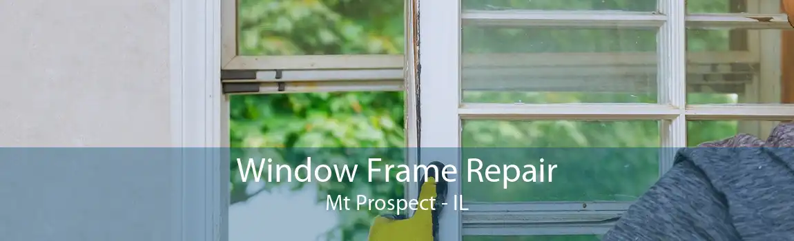 Window Frame Repair Mt Prospect - IL