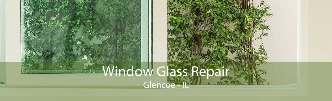 Window Glass Repair Glencoe - IL