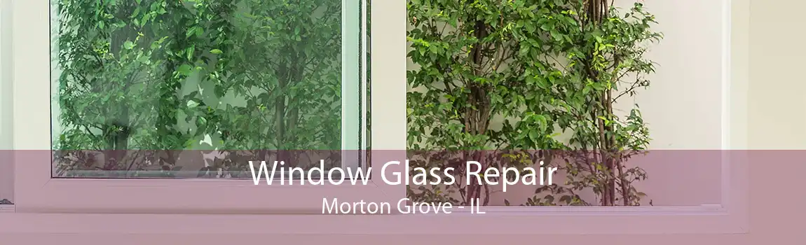 Window Glass Repair Morton Grove - IL