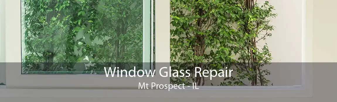 Window Glass Repair Mt Prospect - IL