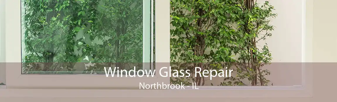 Window Glass Repair Northbrook - IL