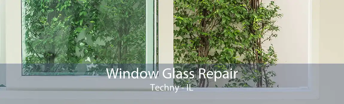 Window Glass Repair Techny - IL