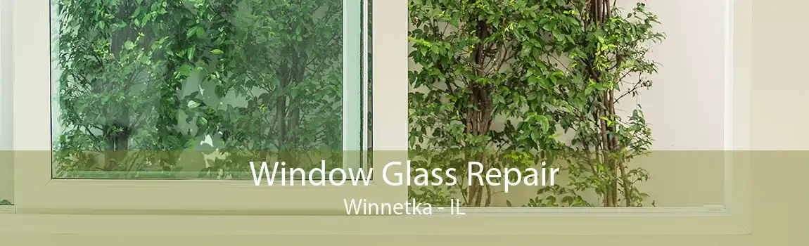 Window Glass Repair Winnetka - IL