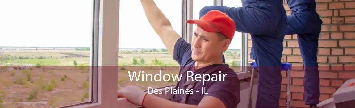 Window Repair Des Plaines - IL