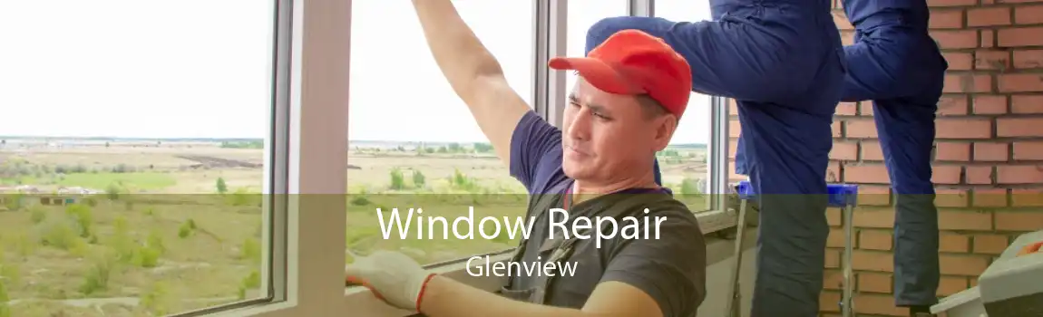 Window Repair Glenview