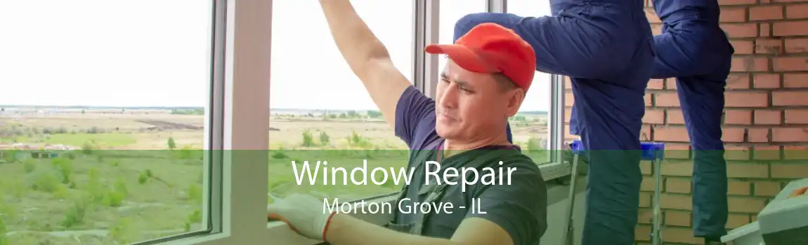 Window Repair Morton Grove - IL