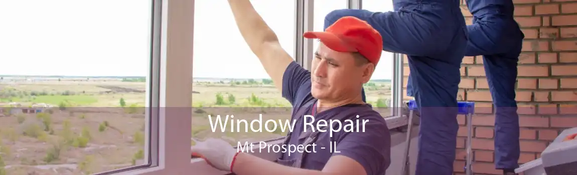 Window Repair Mt Prospect - IL