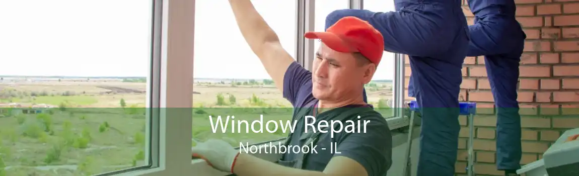 Window Repair Northbrook - IL