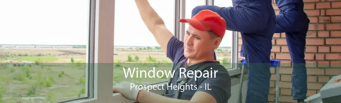 Window Repair Prospect Heights - IL