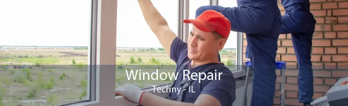 Window Repair Techny - IL