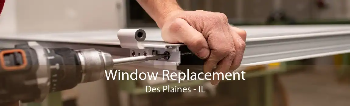 Window Replacement Des Plaines - IL