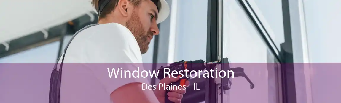 Window Restoration Des Plaines - IL