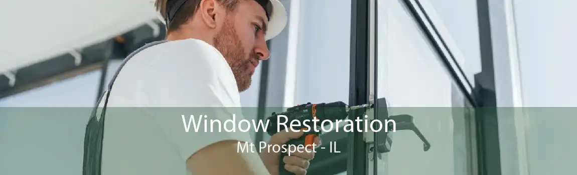 Window Restoration Mt Prospect - IL