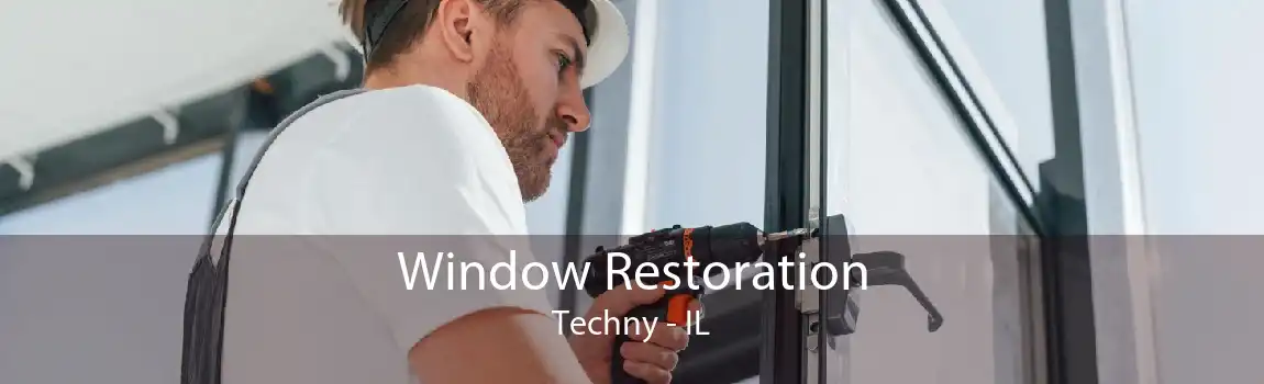 Window Restoration Techny - IL