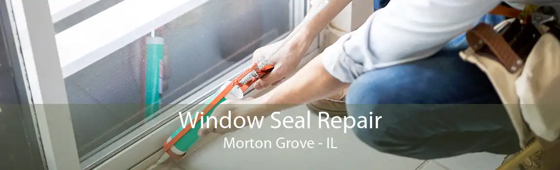 Window Seal Repair Morton Grove - IL