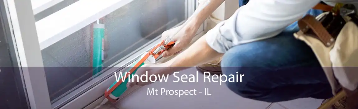 Window Seal Repair Mt Prospect - IL