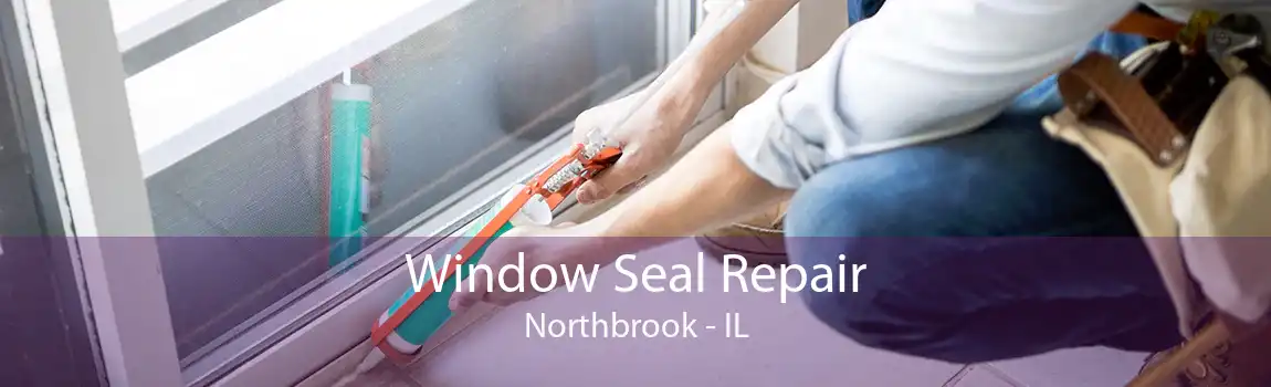 Window Seal Repair Northbrook - IL