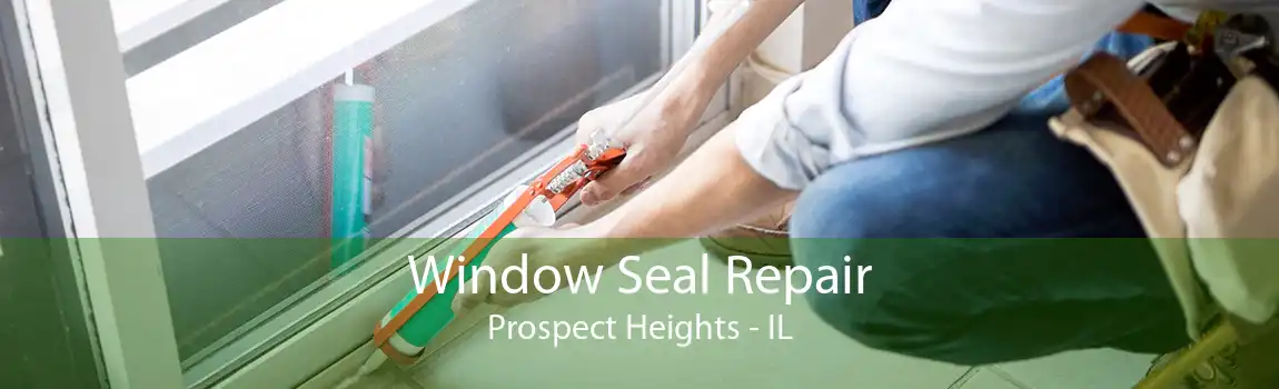 Window Seal Repair Prospect Heights - IL