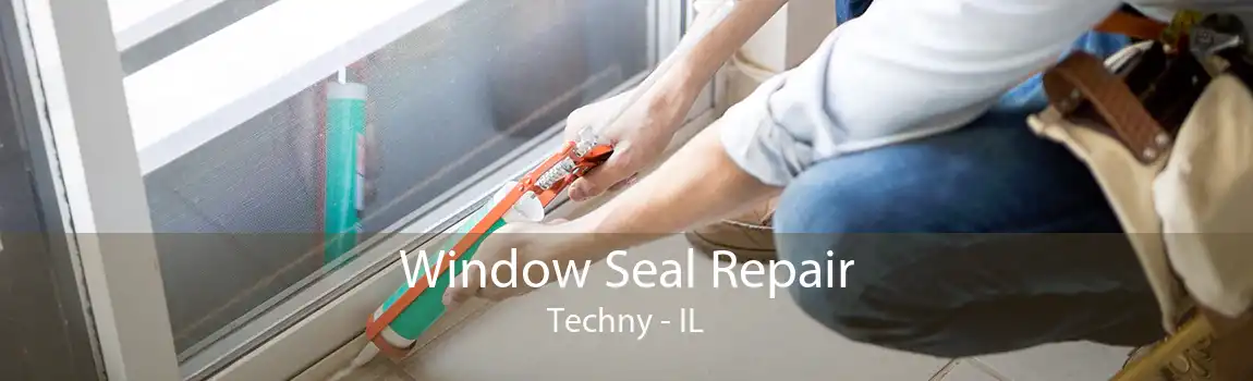 Window Seal Repair Techny - IL