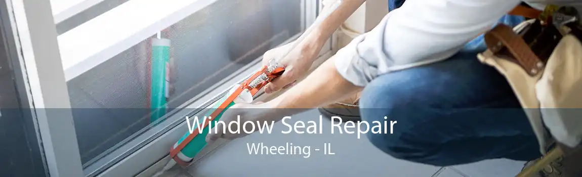 Window Seal Repair Wheeling - IL