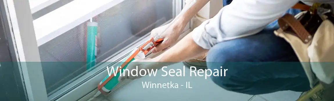 Window Seal Repair Winnetka - IL